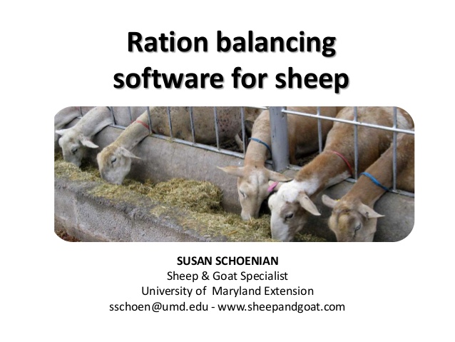 dairy ration balancing software